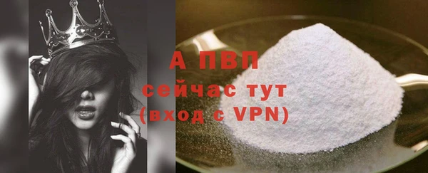 спайс Баксан