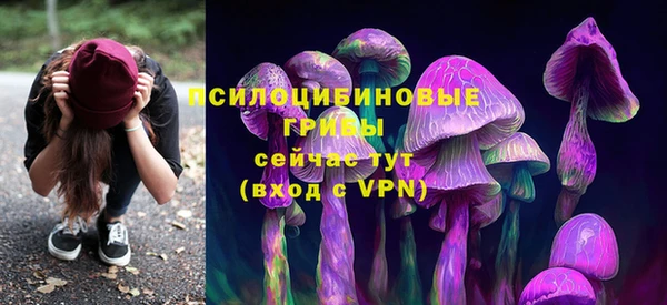 крисы Балабаново