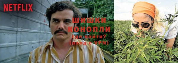 крисы Балабаново