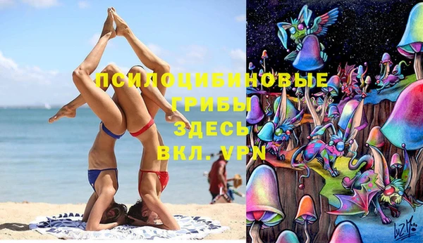 спайс Баксан