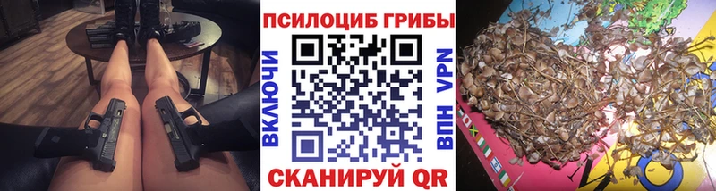 Псилоцибиновые грибы Cubensis  магазин продажи наркотиков  Белореченск 
